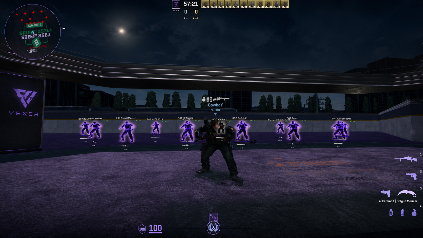 Vexer in-game preview